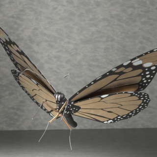hükümdar kelebek dal Bölüm oyuncaklar oyunlar hayvan yaratık rakamlar 3d böcek kelebek böcek doğa hükümdar 3dfindit 3d print model - Mito3D