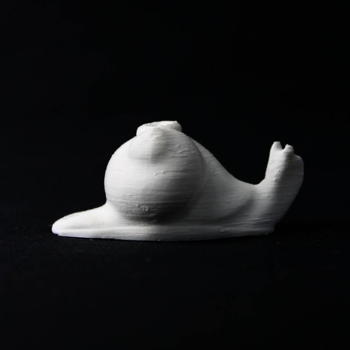 caracol jardín naturaleza shell vida silvestre 3D print model - Mito3D