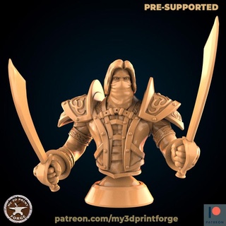 pirate captain bust my3dprintforge Tabletop Characters & Creatures Fantasy Universe Fan Art Busts boss fantasy human model sword painting miniature warcraft wow sabre dnd mines pre-supported deadmines edwin 3d print model - Mito3D