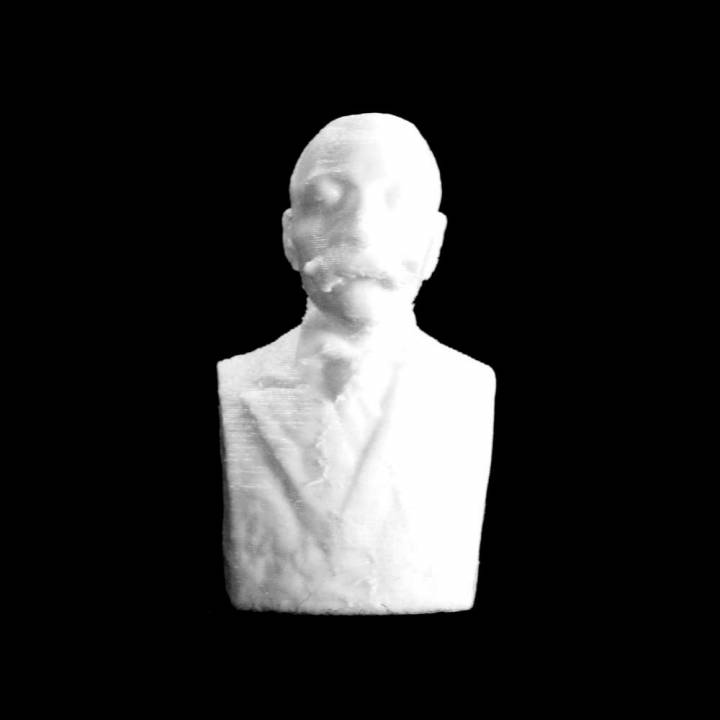 ionescu bust alba iulia romania scan 3D print model - Mito3D