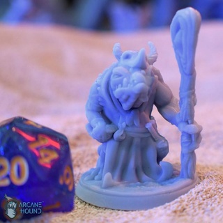 frog shaman - support free arcane hound Tabletop Characters & Creatures Fantasy Universe Store fantasy mini wizard miniature mage supportfree tabletop warlock dnd toad druid sorcerer spellcaster ttrpg grung swamp 3d print model - Mito3D
