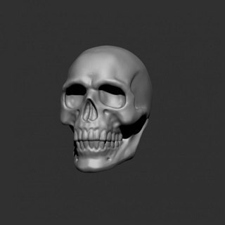 umano cranio wargaming sabertoothcollectibles tavolo 3D stampabile terreno fantasia tavola Giochi warhammer sigmar aos 3d print model - Mito3D