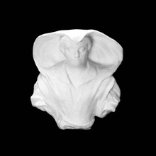 ritratto olimpia maidalchini pamphilj museo dell'ermitage san pietroburgo scansione 3d print model - Mito3D