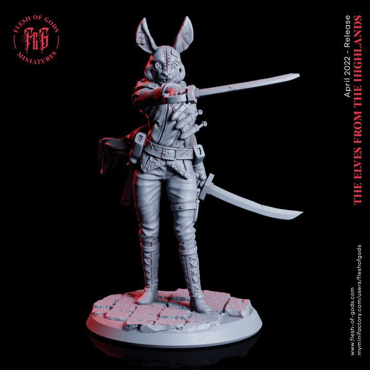 lapin tueur Pâques spécial chair dieux fantaisie femelle combattant Humain masque rpg femme assassin coquin dnd masqué duelliste 3D print model - Mito3D