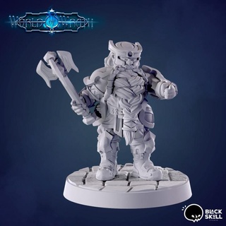 andreus p1 dwarf cleric black skull studio Tabletop Characters & Creatures Fantasy Universe supported 3d print model - Mito3D