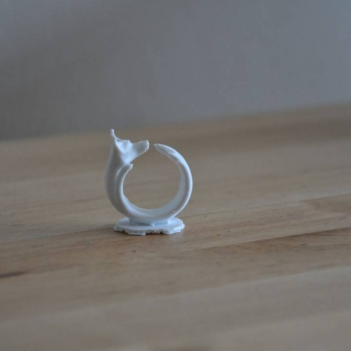 firefox anel jóias presente jewlery 3D print model - Mito3D