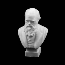 bust charles darwin maas sydney scan 3d print model - Mito3D