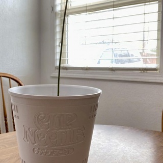 cup noodle pot f b Home & Garden Homeware Vases, pots and planters flower plant household cupnoodle 3d print model - Mito3D