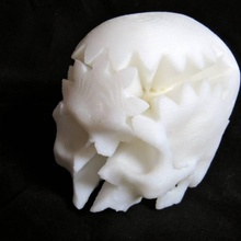 rotazione cranio marcia giardino ingranaggio anatomica mashup meccanica giocattolo gira 3d print model - Mito3D