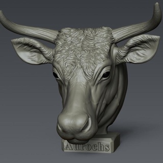 aurochs head garawake Tabletop Characters & Creatures Fantasy Universe Fan Art Busts animal art crow sculpture skull bull sculptures auroch 3d print model - Mito3D