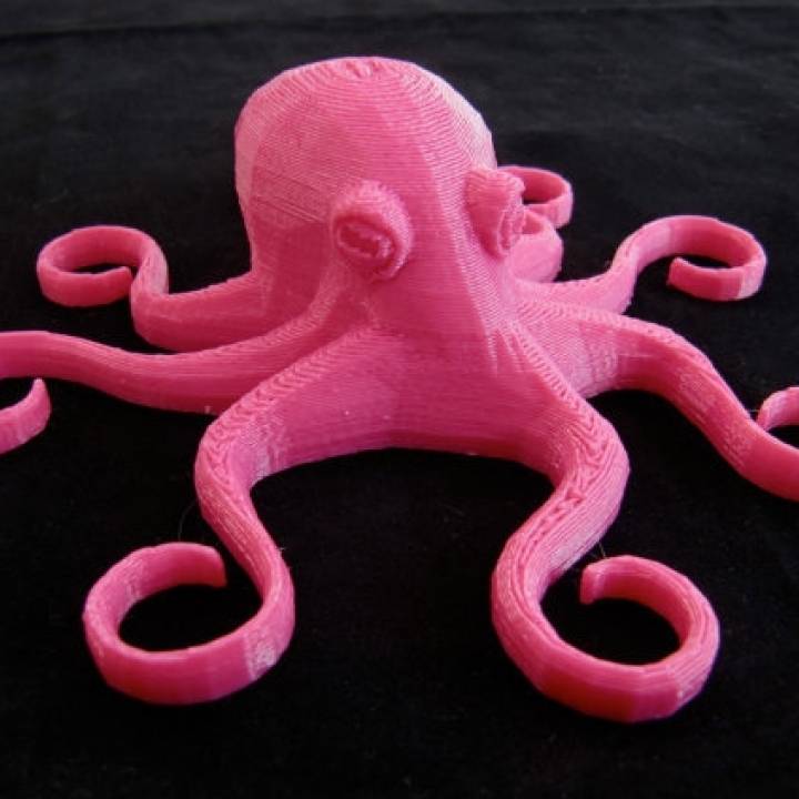 octopus magnet & garden magnetic 8896 fridge 3D print model - Mito3D
