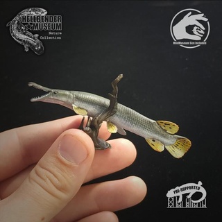 alligator gar atractosteus spatula hellbender museum Toys & Games Animal Creature Figures animal fish giant monster river teeth water freshwater 3d print model - Mito3D