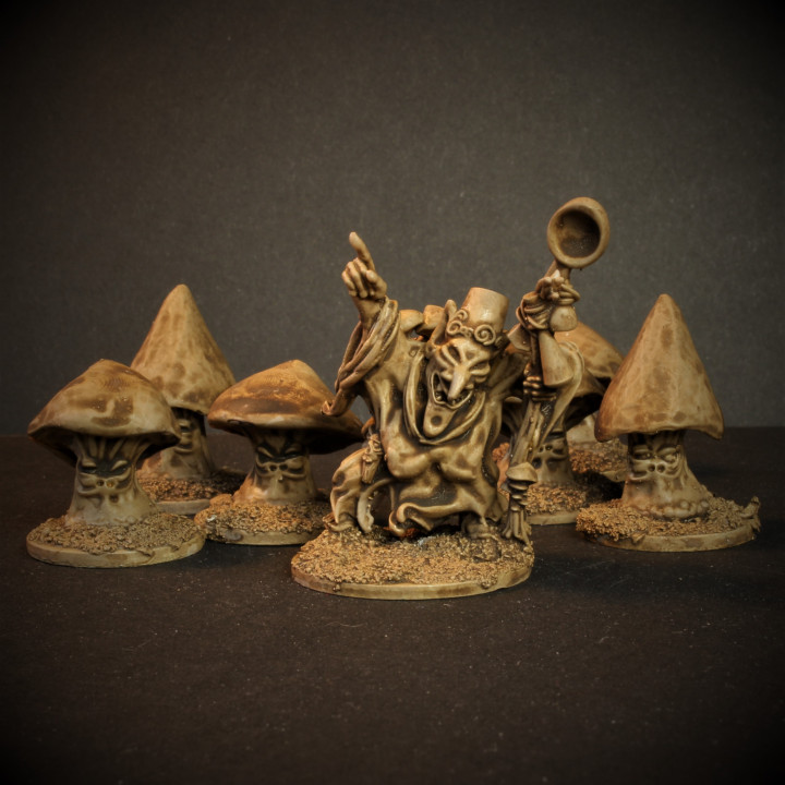 fenella kettle witch mushroom friends knucklebones miniatures Tabletop Characters & Creatures Fantasy Universe fantasy goblin warhammer dungeonsanddragons 28mm dnd frostgrave mushrooms 3D print model - Mito3D
