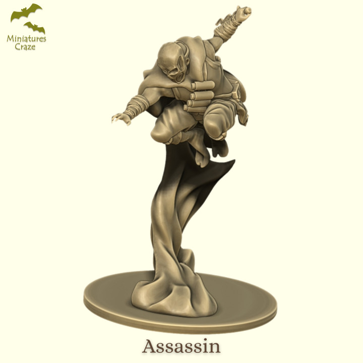 Attentäter Söldner Miniaturscraze Tischplatte Zeichen Kreaturen Fantasie Universum Stadt Drachen Dungeons Rollenspiel Attacke Schurke dnd Dieb 3D print model - Mito3D