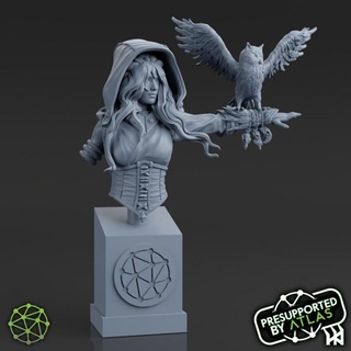 beatrice dreamweaver - bust atlas 3dss Tabletop Characters & Creatures Fantasy Universe Store Fan Art Busts bird display fantasy figure girl lady modular owl sculpture wizard magic painting angel crystal mage caster tabletop cowl hood dreamer dnd feather angels adventurer cloak curly variant familiar seer presupported supported robes atlasangels 3d print model - Mito3D