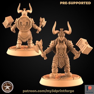 dwarf female paladin weapons my3dprintforge Tabletop Characters & Creatures Fantasy Universe axe fantasy model shield tomb warrior weapon miniature lotr resin warcraft wow mace dnd pathfinder dwarves supported 3d print model - Mito3D