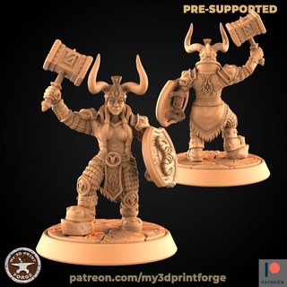 dwarf female paladin shield my3dprintforge Tabletop Characters & Creatures Fantasy Universe fantasy model tank tomb warrior weapon miniature lotr resin warcraft wow mace dnd pathfinder dwarves supported 3d print model - Mito3D