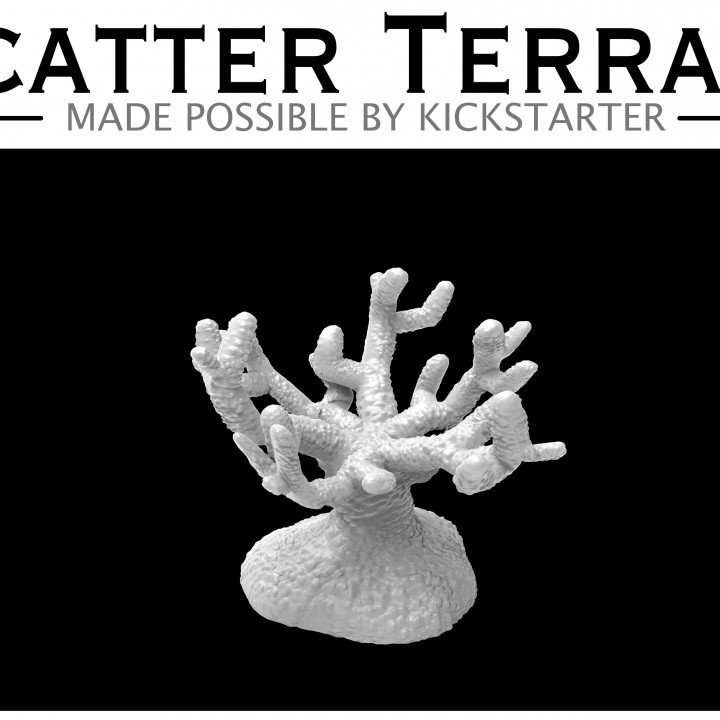 mercan kısa Mia kay masaüstü 3D yazdırılabilir arazi fantezi ejderhalar Zindanlar oyun mini rpg minyatür dnd dağılmak 3D print model - Mito3D