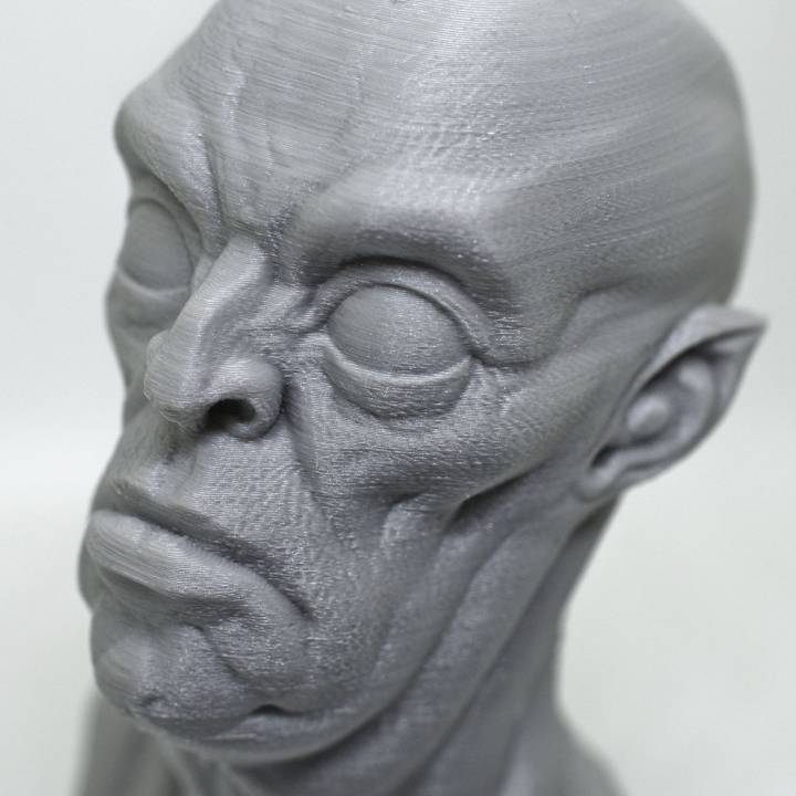 necrófago busto fan art criatura monster 3D print model - Mito3D