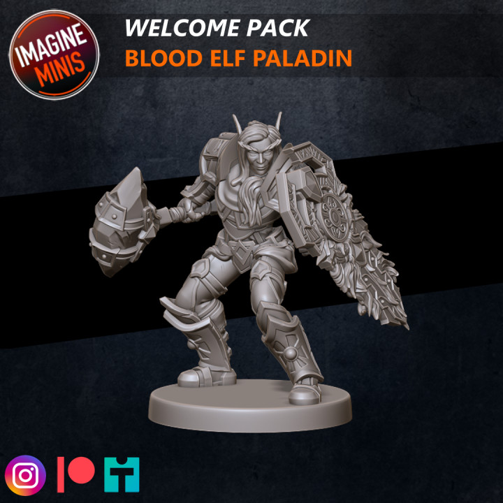 wp sang elfe paladin imaginer minis table personnages créatures fantaisie univers combattant guerrier Masculin warcraft sensationnel dnd dnd5e 3D print model - Mito3D