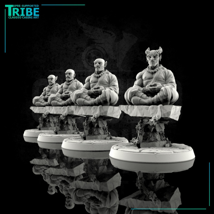 0083 masculino humano duende Tiefling metade orc zen mestre Shaolin monge claudio bagunça arte 3D print model - Mito3D