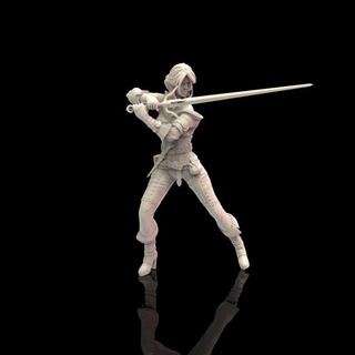 lady space time stretch goals test tgr Tabletop Characters & Creatures Fantasy Universe free freedownload witcher ciri pre-supported freebie cirillia 3d print model - Mito3D