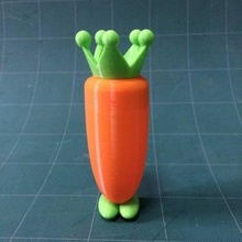 carrot bottle & garden carrotbottle 3d print model - Mito3D