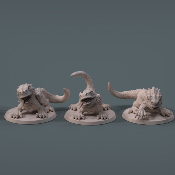 lizard dragon pet imp3dsion Tabletop Characters & Creatures Fantasy Universe animal bag beast wild backpack companion dungeonsanddragons mate d&d dnd team tammed 3D print model - Mito3D