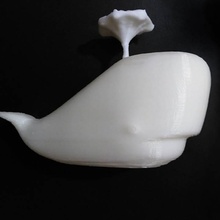 whale shower & garden bathroom toy bath 3d print model - Mito3D