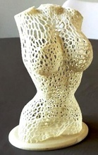 corpo feminino remix estilo voronoi versão educação 3d print model - Mito3D