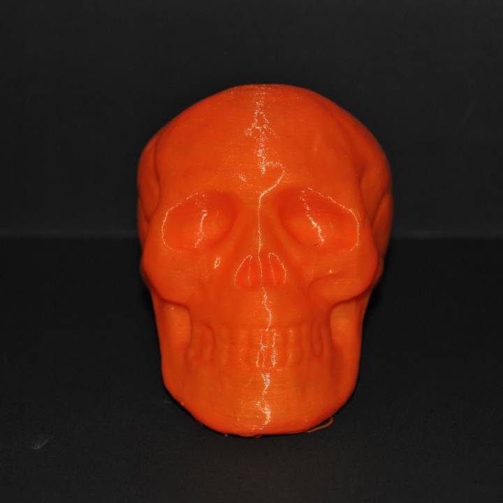 halloween cranio giocattolo giardino l'osso umana prop decorazione 3D print model - Mito3D