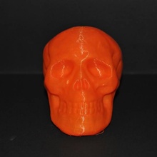 halloween cranio giocattolo giardino l'osso umana prop decorazione 3d print model - Mito3D