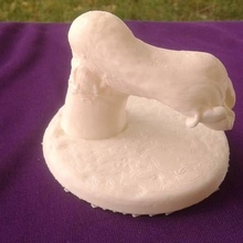 baby foot keepsake memento education cast 3d print model - Mito3D