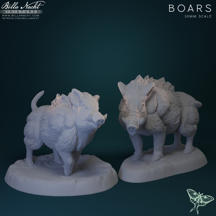 jabalíes bella noche minis mesa caracteres criaturas fantasía universo bestia criatura granja cerdo compañero Jabali cerdos 3D print model - Mito3D