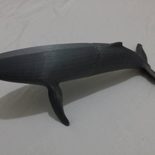 ballena jorobada juegos juguetes sealife marina 3d print model - Mito3D