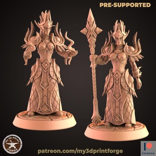 nightborne elf female mage two models my3dprintforge Tabletop Characters & Creatures Fantasy Universe fantasy model printing miniature resin warcraft wow elves rider dnd pre-supported arcanist 3d print model - Mito3D