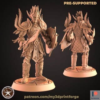 nightborne elf warrior shield my3dprintforge Tabletop Characters & Creatures Fantasy Universe fantasy model printing sword miniature male resin warcraft wow elves paladin night dnd pre-supported 3d print model - Mito3D