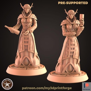 nightborne elf female merchant two models my3dprintforge Tabletop Characters & Creatures Fantasy Universe bottle fantasy model printing miniature resin warcraft wow elves dnd vine pre-supported seller 3d print model - Mito3D