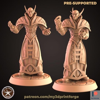 nightborne elf merchant two models my3dprintforge Tabletop Characters & Creatures Fantasy Universe bottle fantasy model printing miniature resin warcraft wow elves dnd vine pre-supported seller 3d print model - Mito3D