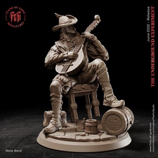 bard - npc flesh gods guitar human man player rpg male musician storyteller dnd tavern lute fleshofgods 3d print model - Mito3D