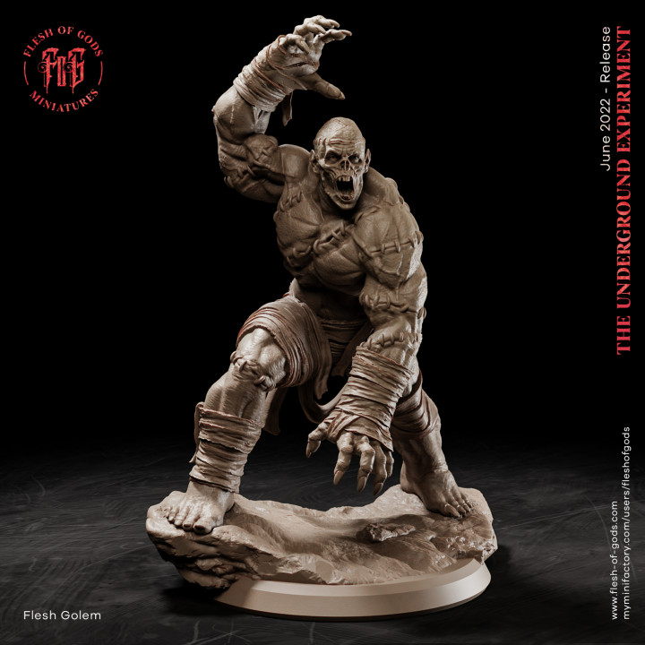 et Golem tanrılar yaratık fantezi canavar rpg ölümsüz zombi Frankenstein dikişler dnd wight etli 3D print model - Mito3D