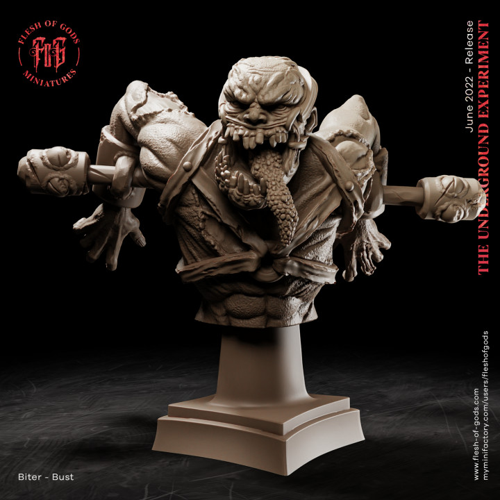 biter - bust flesh gods creature fantasy golem horror monster rpg undead zombie frankenstein dnd fleshofgods 3D print model - Mito3D