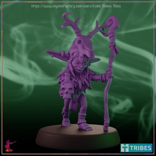 goblin shaman college spirits bard witch series caleb makes minis Tabletop Characters & Creatures Fantasy Universe dragons dungeons orc roleplay rpg tribal wizard doctor dungeonsanddragons tabletop warlock dnd pathfinder sorcerer ttrpg 5e goblinoid 3d print model - Mito3D
