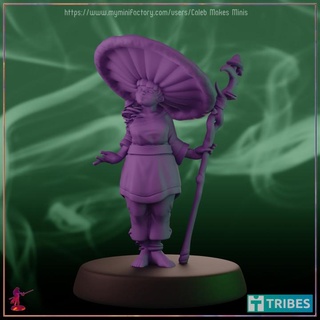 spore witch human druid series caleb makes minis Tabletop Characters & Creatures Fantasy Universe dragons dungeons roleplay rpg wizard mushroom dungeonsanddragons tabletop warlock fungus dnd pathfinder thick fungi sorcerer myconid ttrpg 5e thicc 3d print model - Mito3D