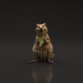 quokka animal den miniatures creature cute figurine realistic sculpture companion miniature wildlife rodent 3d print model - Mito3D