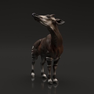 okapi animal cova miniaturas criatura estatueta girafa realista escultura cavalo companheiro miniatura animais selvagens 3d print model - Mito3D