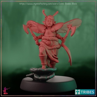 ladybug fairy barbarian pre-supported feywild series caleb makes minis Tabletop Characters & Creatures Fantasy Universe bug cute dragons dungeons female forest insect roleplay rpg dungeonsanddragons tabletop sprite dnd pixie pathfinder thick ttrpg 5e thicc 3d print model - Mito3D