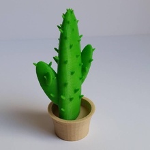 cactus piatto giardino pot tinkercad 3d print model - Mito3D