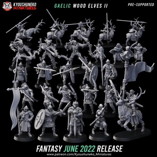 june 2022 fantasy release - gaelic wood elf army kyoushuneko miniatures Tabletop Characters & Creatures Fantasy Universe king celtic 3d print model - Mito3D