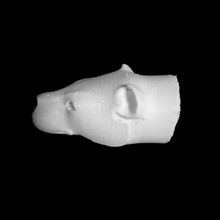 Löwin headed rhyton heraklion archäologische museum Belgien scan 3d print model - Mito3D